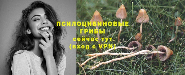 бутират Покров