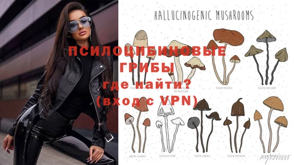 a pvp Покачи