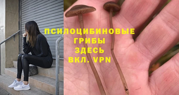 бутират Покров