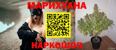 spice Волжский