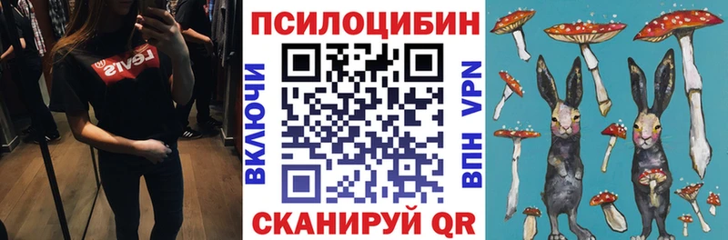 МЕГА как войти  Великий Устюг  Псилоцибиновые грибы Cubensis 