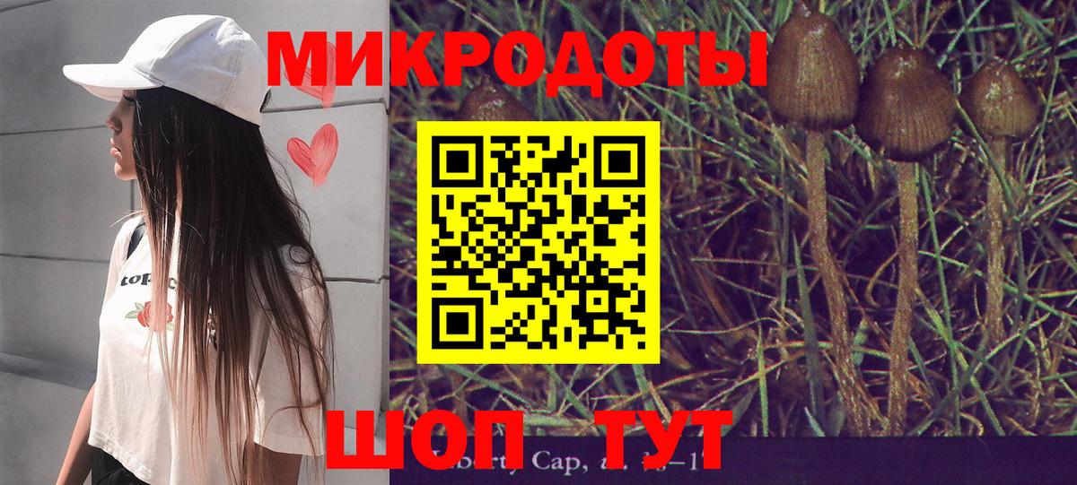 Великий Устюг  Галлюциногенные грибы прущие грибы  Вход с VPN 