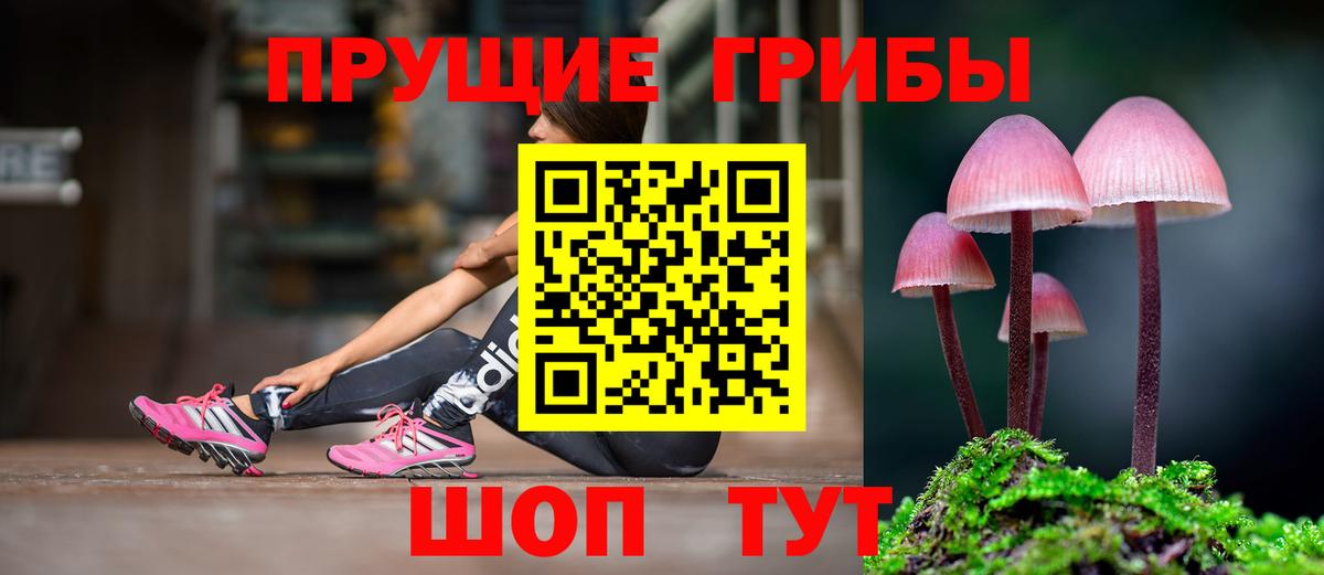 Галлюциногенные грибы прущие грибы  Великий Устюг  Галлюциногенные грибы Magic Shrooms 